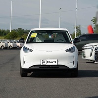 Новый Geely 2026 EX2 Star Wish 410 км, комплектация Comfort, белый цвет, 0 км, абсолютно новый автомобиль, левый руль, электромобиль, 10,1-дюймовый экран