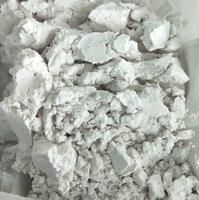 Améliorant Nutritionnel 99% Cas 10045-86-0 Phosphate Ferrique pour Batteries au Lithium Additifs Alimentaires Grade Industriel Catalyseur Haute Efficacité