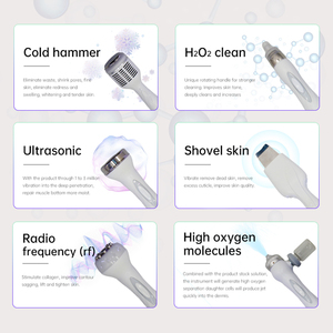 Dispositivo Facial Profesional de Hidro-Oxígeno con Microburbujas para Uso en Salón, Aqua Jet Peel, Infusión de H2O2, Limpieza y Eliminación de Puntos Negros - Product Image 3