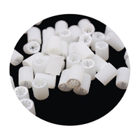 Mbbr PE09 plastique HDPE vierge MBBR PE09 Bio média filtrant pour station d'épuration MBBR Media Carrier