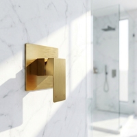 Robinet de salle de bain mural thermostatique haut de gamme noir mat, mitigeur à jet de pluie en céramique, en acier inoxydable SUS304