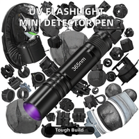 Lampe torche UV professionnelle 365 nm, mini lampe LED, chasse aux scorpions, détection de devises, détection de fuites, détecteur d'urine d'animaux