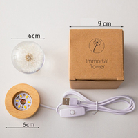 Lampe de nuit LED pissenlit boule de verre transparente Base en bois alimentation CC lampe de nuit boule de cristal florale pour Noël