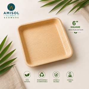 6 Inch Square Areca Palm Leaf <b>Disposable</b> Dessert <b>Plate</b> | Compostable Eco-Friendly Heavy-Duty Catering <b>Plate</b> - Product Image 1