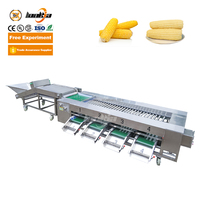 Lonkia Verse Maïs Ui Sorteermachine En Grootte Sorteermachine Avocado Sorteermachine Fruitgewicht Sorteermachines