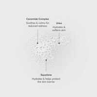 Brume hydratante réparatrice végétalienne OEM/ODM à l'urée, au squalane, aux céramides végétaux et à l'aloe vera 100ml – Soin personnel et cosmétique en spray