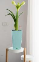 Mini Pot de plantes en plastique à arrosage automatique, Pot de fleurs décoratif moderne/boîte de fenêtre pour toutes les plantes de maison, fleurs