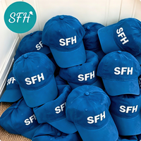Casquette de baseball personnalisée avec broderie personnalisée, texte personnalisé, logo, cadeau pour hommes, femmes, amis