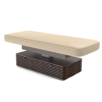Table de massage et de spa réglable CNF-C Ness Beauty Salon avec 2 tiroirs pour utilisation dans le salon