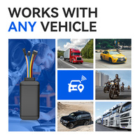 Rastreador GPS GLONASS BDS Ultracompacto 4G 2G en Tiempo Real para Motocicletas y Automóviles, Aplicación para Android/PC, Montaje en el Tablero, 1 Año de Garantía, Nube