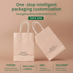 Bolsas de Regalo de Papel con Logotipo Personalizado de Lujo <span class=keywords><strong>Bravo</strong></span> Packaging, Bolsas de Papel Kraft Ecológicas para Cosméticos, Joyería, Bodas y Fiestas - Product Image 6