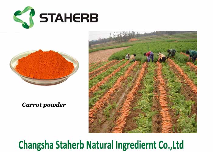 Carrot Extract powder carrot powder