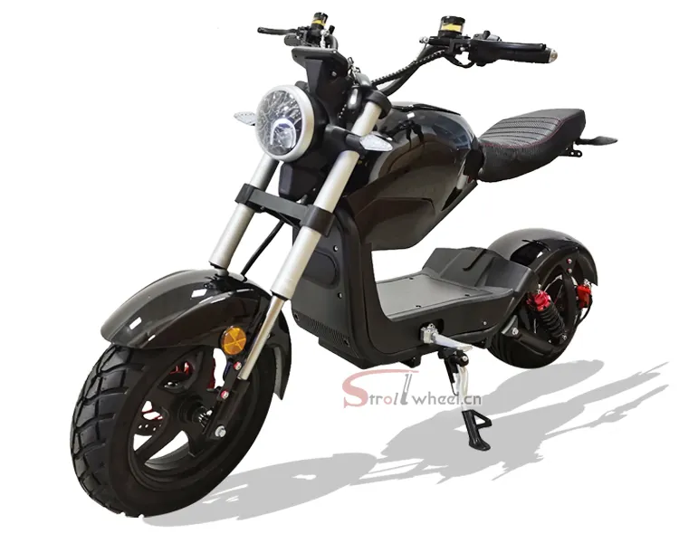 Citycoco-patinete eléctrico de 2 ruedas para adulto, scooter Eléctrico, para adulto, citycoco