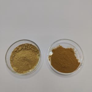 Pasokan pabrik Morinda <span class=keywords><strong>Officinalis</strong></span> ekstrak akar Ba Ji Tian 10:1 Morinda <span class=keywords><strong>Officinalis</strong></span> ekstrak bubuk - Product Image 3