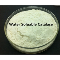 Poudre/Liquide d'enzyme catalase en gros