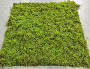 Vente chaude Verdissement Maison Jardin Décoration Simulation Artificielle Pelouse <span class=keywords><strong>Lichen</strong></span> Herbe Écorces - Product Image 2