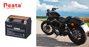 中国製電動バイク用バッテリー <span class=keywords><strong>12V</strong></span> 4Ah ジェルバッテリー 高品質 - Product Image 5