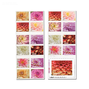 Vente en gros de timbres-<span class=keywords><strong>poste</strong></span> <span class=keywords><strong>personnalisés</strong></span> à thème floral des États-Unis, étiquettes de collection uniquement - Product Image 1