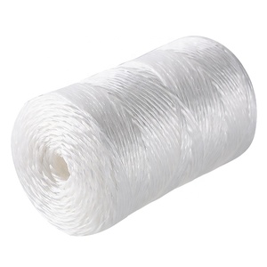 <span class=keywords><strong>Ficelle</strong></span> Offre Spéciale suspendue de <span class=keywords><strong>ficelle</strong></span> de tomate de haricot de banane de protection UV de pp pour l'agriculture - Product Image 2