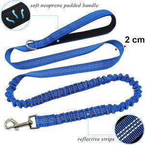 Correa elástica reflectante ajustable de 6 pies para perros, de nailon sólido natural para escalada, nueva correa para mascotas al por mayor - Product Image 4