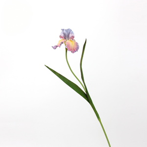 Venta al por mayor 21,65 ''realista Artificial <span class=keywords><strong>Iris</strong></span> Cymbidium orquídea flores PU Real Touch boda graduación fotografía decorativa - Product Image 3
