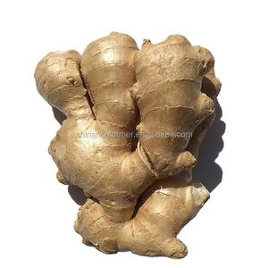 Nova Colheita Fresca Gengibre China Fornecedor Pacote Personalizado Alta Qualidade - Product Image 2