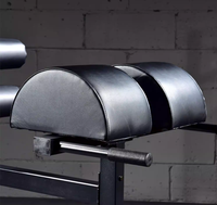 Chaise romaine GHD réglable, banc d'hyperextension, machine de développement des muscles fessiers et des ischio-jambiers pour l'entraînement du tronc et du dos, équipement de gym professionnel