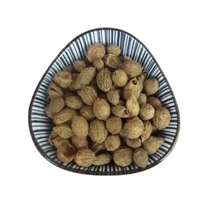 Yi Zhi Ren Chinese Herbs Bitter Cardamon Fructus Alpiniae Oxyphyllae