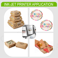 Mesin Cetak Logo Chicai untuk Mesin Pengemas Kantong Kertas dengan Lini Produksi Kantong Kertas dan Printer Single Pass