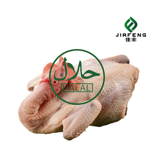Healthy and Natural Special Price Whole Frozen <strong>Chicken</strong> with Full Specifications Available - Product Image 3
