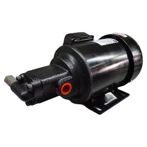 Pompe à eau auto-amorçante à engrenages 1/4 triphasée 220/380V Yu Hseng 3-10 Kg/cm, prise en charge OEM, débit 0-7 L/min, usinage TC-13-A-V TC-13-A-V S - Product Image 2