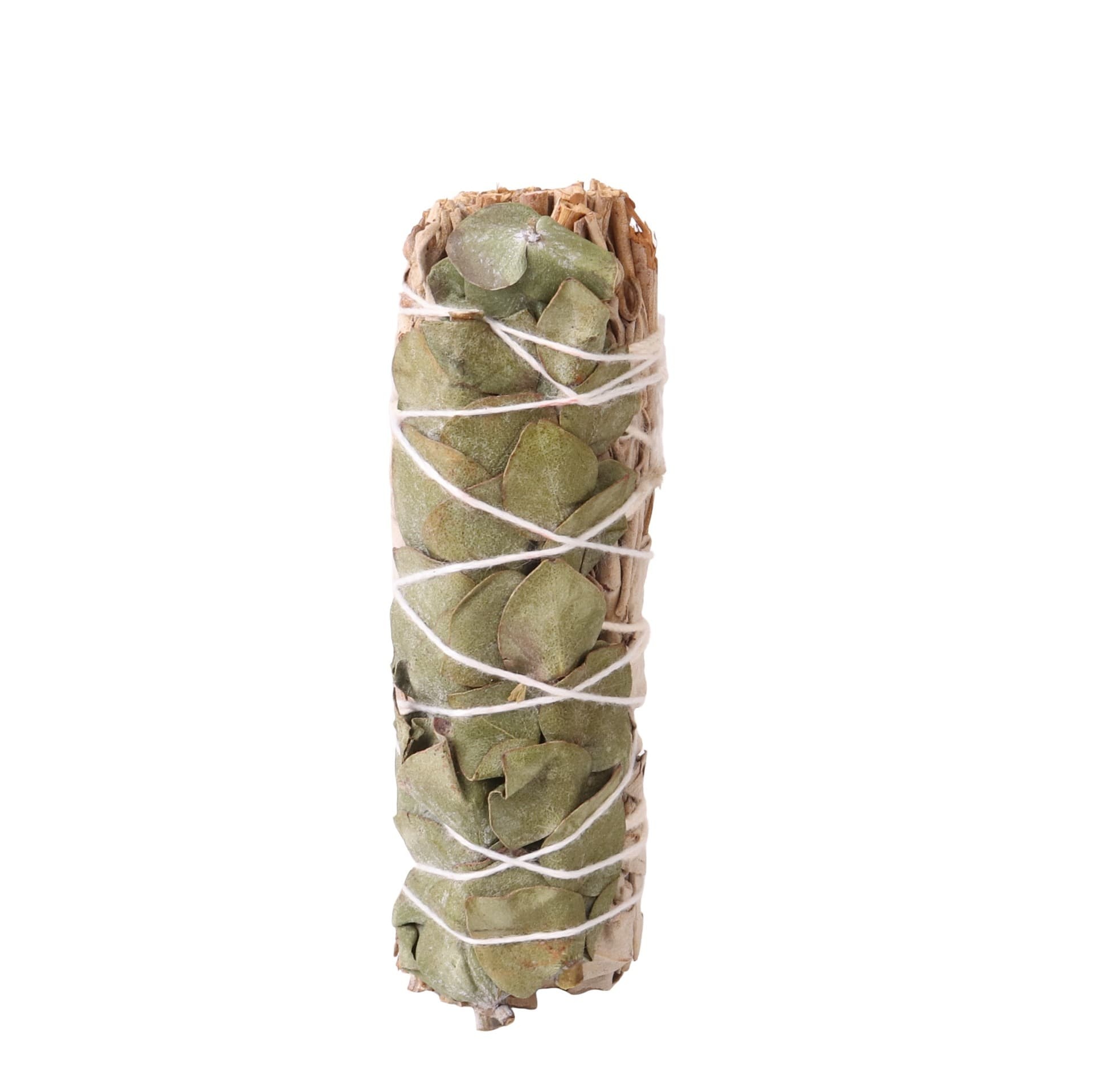 Eucalyptus sauge blanche