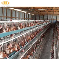 Haiao trade assurance высокий уровень безопасности клетки птицы курица Клетка слоя в Индии