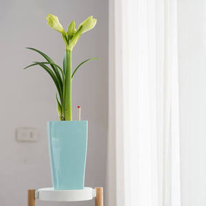 BRICE Dikim Saksisi <span class=keywords><strong>XL</strong></span> – Grandes jardinières auto-arrosantes rectangulaires en plastique pour extérieur, écologiques et modernes - Product Image 3
