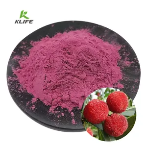 Best Price Red Yumberry Waxberry Myrica Rubra Bayberry Fruit Bayberry Extract Powder