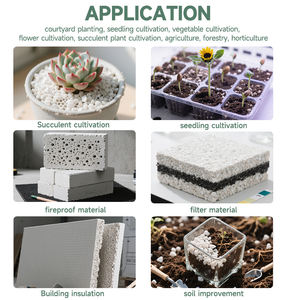 <span class=keywords><strong>Perlita</strong></span> Expandida Cruda de Alta Calidad para Agricultura y Horticultura, Marca XUANG, Tamaño de Grano 8-12/8-16 - Product Image 6