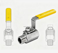 Vanne à boisseau sphérique manuelle en acier inoxydable, filetage interne DN8-DN50, usage industriel, gaz, huile, acide, joint PTFE, 800 PSI, OEM TapLink TV-1N1V