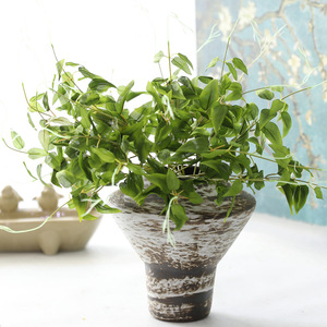 Guirlande de chèvrefeuille artificielle verte <span class=keywords><strong>en</strong></span> soie à 5 branches de haute qualité pour la décoration d'événements - Product Image 2