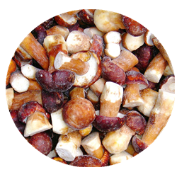 Nueva cosecha de Frozen <span class=keywords><strong>Boletus</strong></span> <span class=keywords><strong>Edulis</strong></span> para ventas calientes - Product Image 4