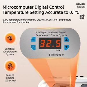 Incubateur pour oiseaux USMILEPET, nouveau design, en PP, avec double contrôle de la température. - Product Image 4