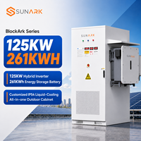 Armoire de stockage d'énergie LiFePO4 de 261 kWh avec 8000 cycles de charge, batterie lithium à refroidissement liquide de 125 kW pour l'économie d'énergie solaire commerciale