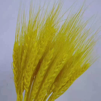 Fourniture d'usine de fleurs séchées naturelles herbe de paille fleurs de blé séchées pour la décoration de la maison