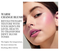 Bâton de blush en gelée végétalien imperméable en gros pour OEM, maquillage naturel pigmenté à base de minéraux, sans cruauté animale, marque privée