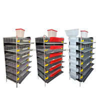 Cage à cailles galvanisée à plusieurs niveaux de type H avec système d'alimentation et d'abreuvement automatique pour la production commerciale d'œufs et l'élevage