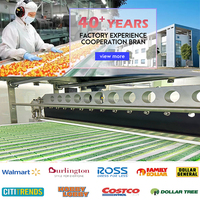 Biscuit OEM Usine OEM Vente en gros Biscuits de fortune personnalisés/Salutations/Cadeaux surprises Collations exotiques