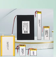 Batterie Lipo de haute qualité 3,7 V 3000 mAh 755068, poche lithium-ion avec certificats CB/KC/CE