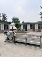 Doorlopende Fruit-En Groentedrukreiniger Automatische Wasreinigingsmachine
