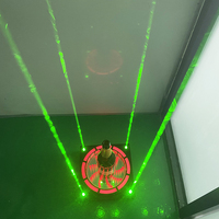 Présentoir de Bouteille de Champagne Lumineux LED Vert Sans Fil Rechargeable Sur Mesure, Glorificateur de Bouteille de Vin, Support de Vodka Illuminé