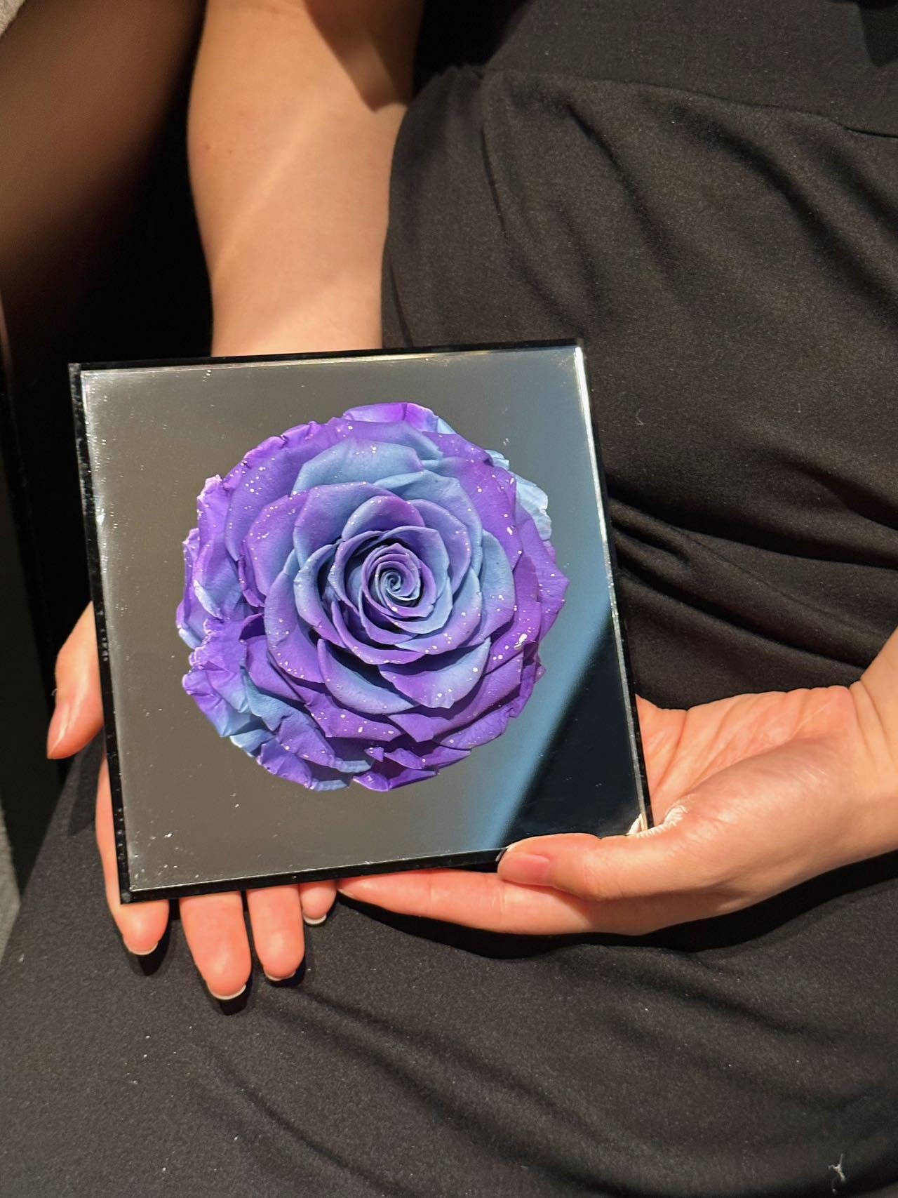 Giant round head 15158cm-galaxy rose series