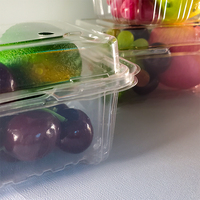 Boîte d'emballage carrée transparente jetable en PET pour fruits, avec gaufrage, barquette d'emballage alimentaire de qualité alimentaire